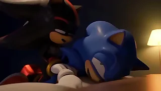 Sonic and Shadow having turmoil control - Altrix3D