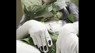 太ったハスキーの葉っぱビキニ