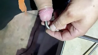 cock